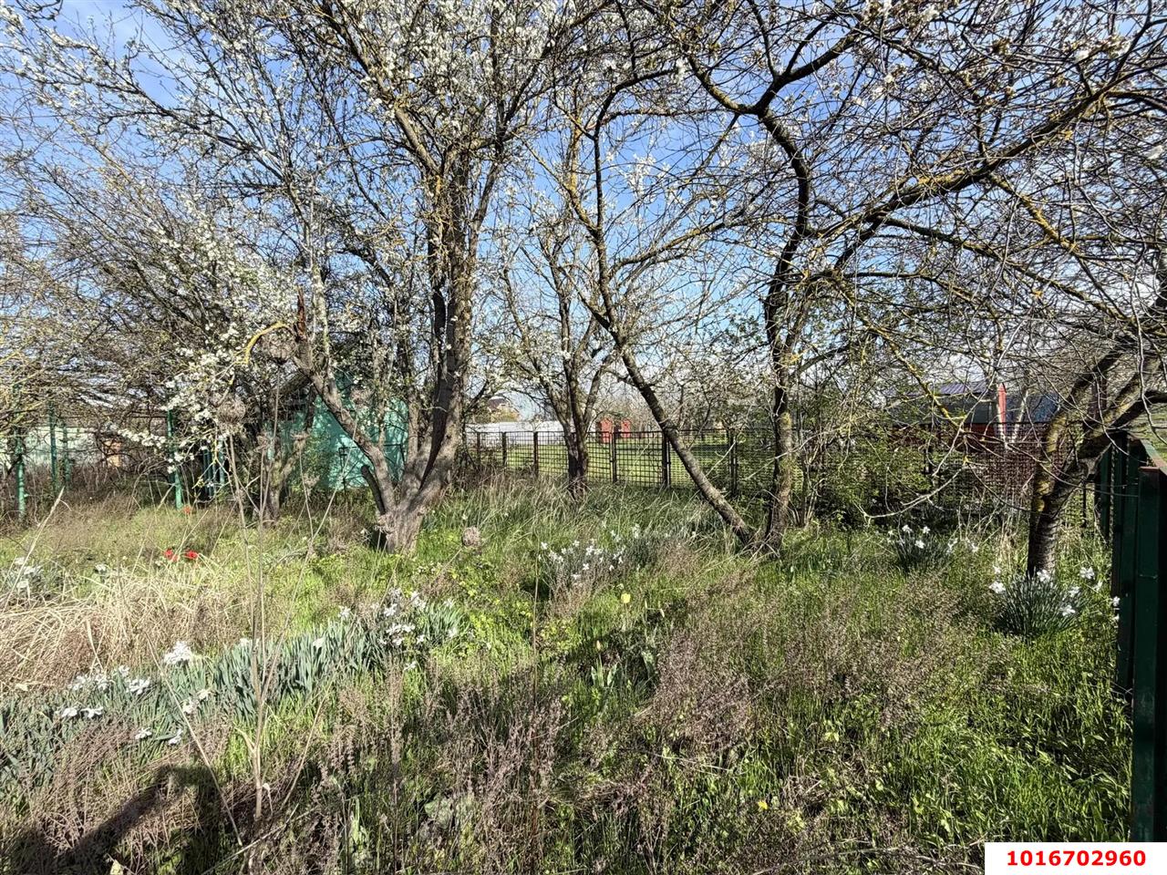 Фото №1: Личное подсобное хозяйство - Октябрьский, Прикубанский внутригородской округ, ст Радужное, ул. Оранжевая, 83