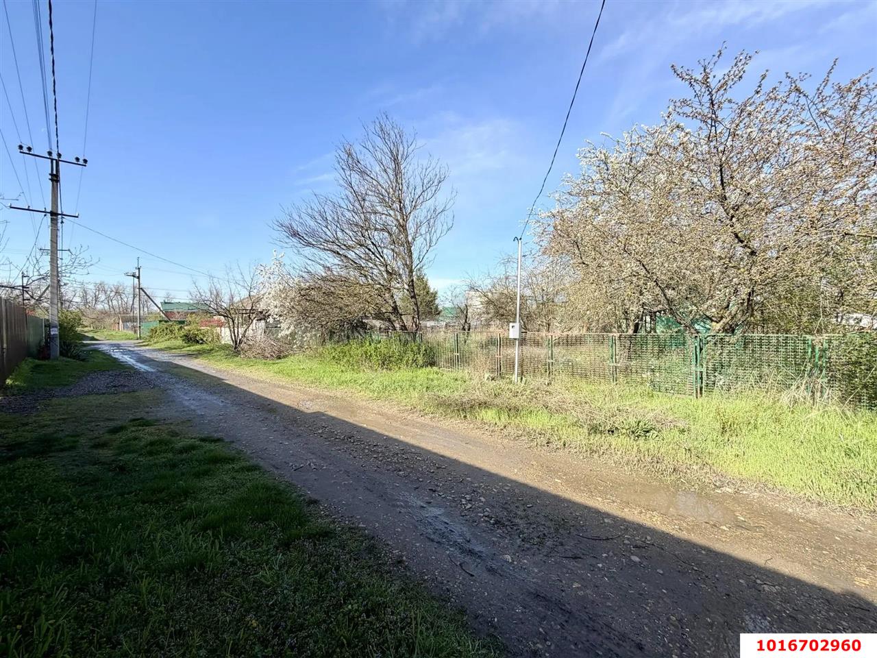 Фото №2: Личное подсобное хозяйство - Октябрьский, Прикубанский внутригородской округ, ст Радужное, ул. Оранжевая, 83