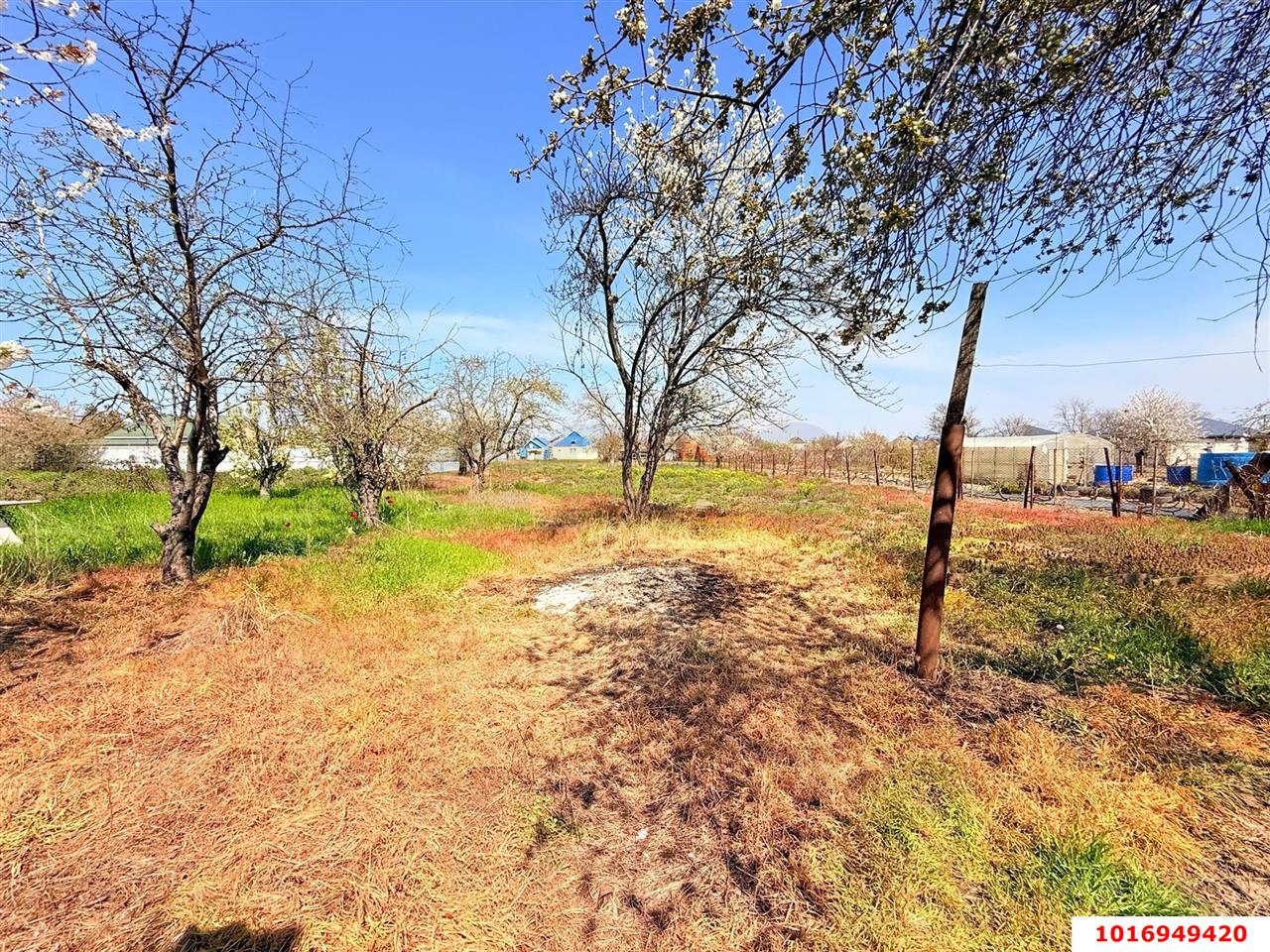 Фото №3: Дом 46 м² + 16 сот. - Курчанская, ул. Щорса