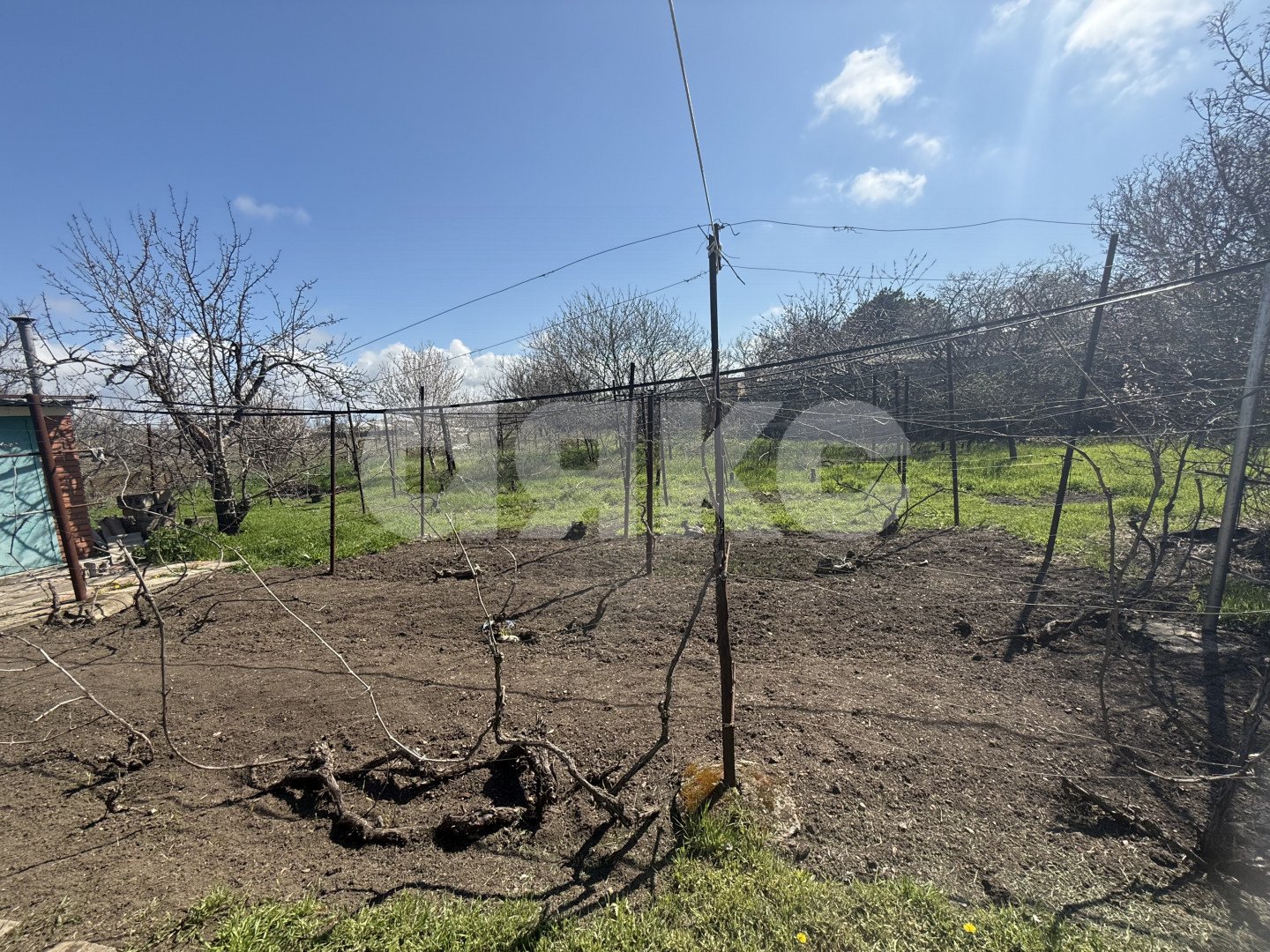 Фото №15: Дом 57 м² + 1776 сот. - Безыменное, ул. Пушкина, 119