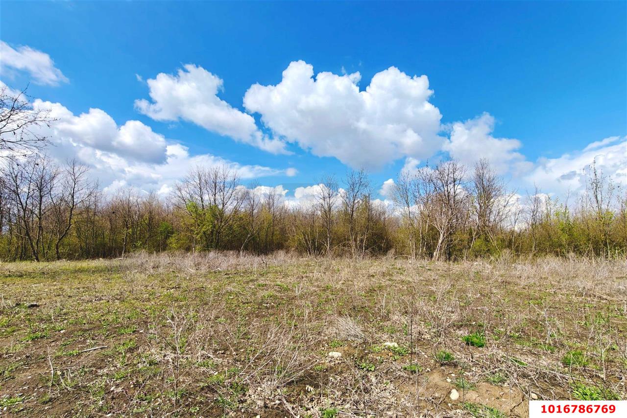 Фото №11: Коммерческая земля 105 сот. - Индустриальный, мкр. Прикубанский внутригородской округ, ул. Евгения Осокина, 7/7