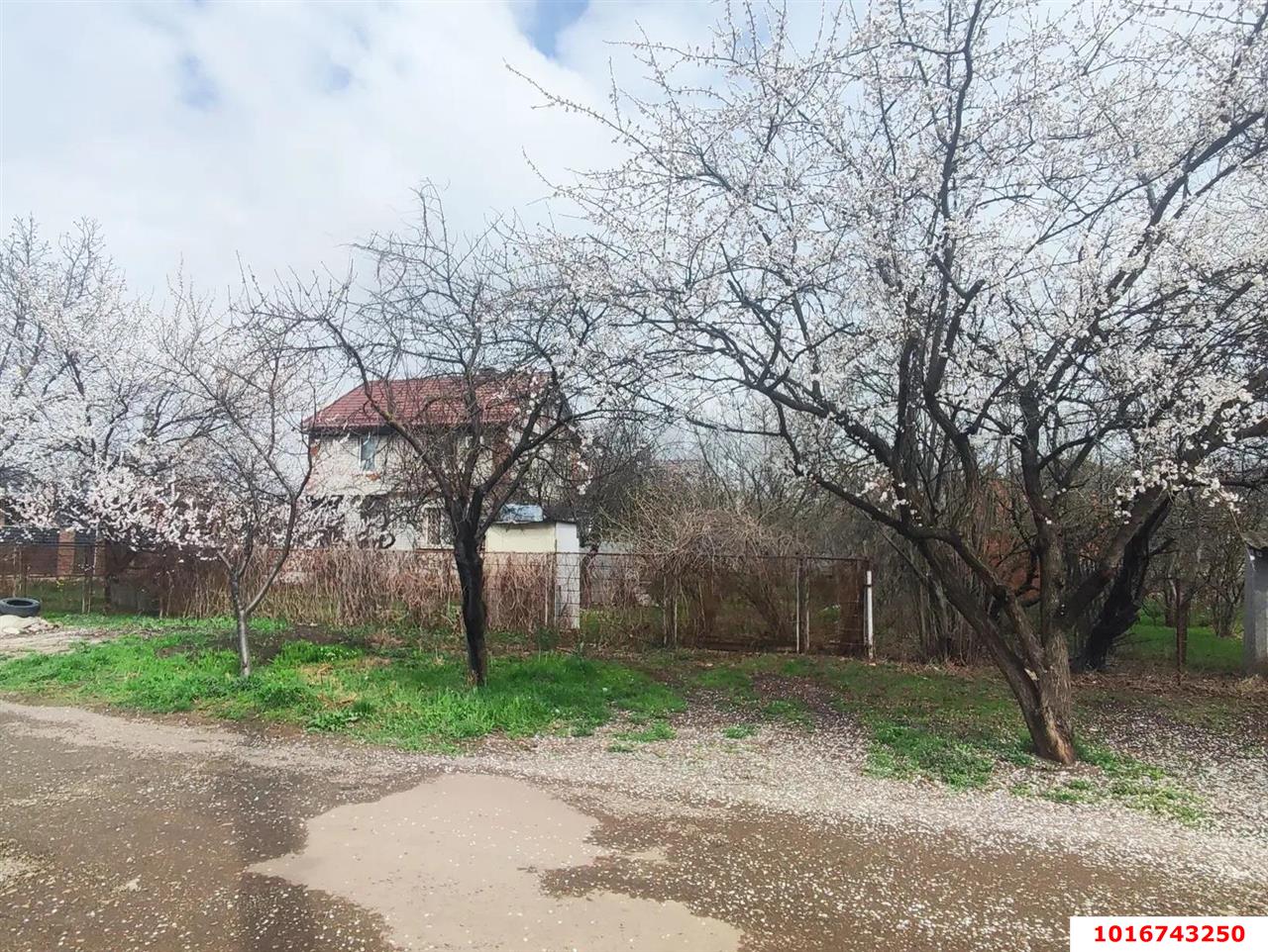 Фото №6: Дом 148 м² + 10 сот. - Краснодар, Прикубанский внутригородской округ, Сады Калинина, ст Животновод, ул. Грушевая, 292