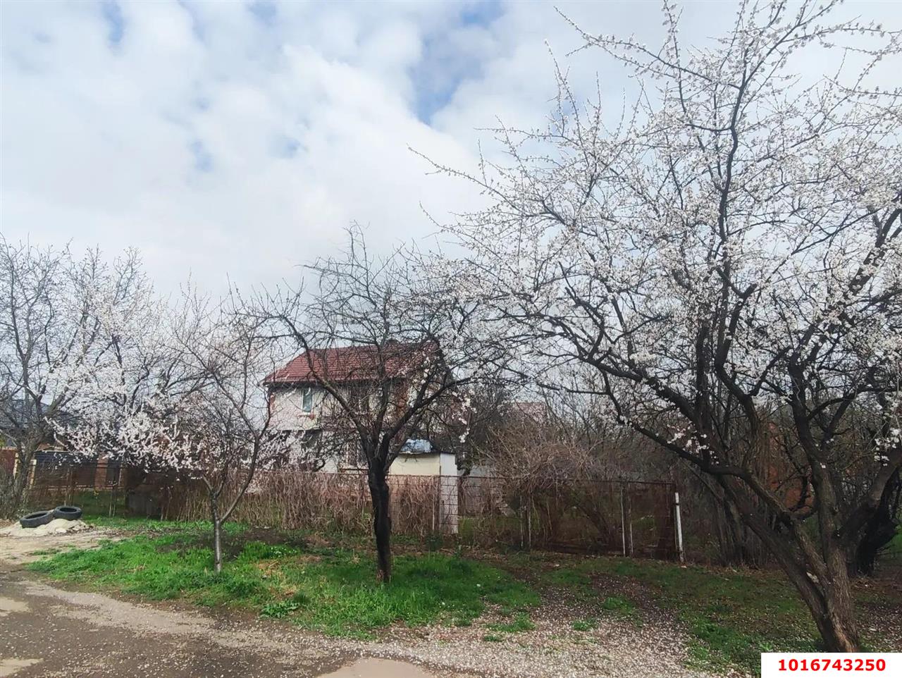 Фото №4: Дом 148 м² + 10 сот. - Краснодар, Прикубанский внутригородской округ, Сады Калинина, ст Животновод, ул. Грушевая, 292