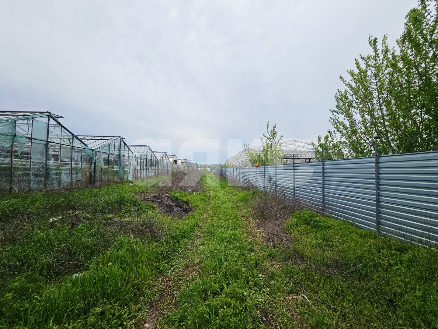 Фото №17: Участок садоводство 338 сот. - Батайск, ул. Ключевая, 10