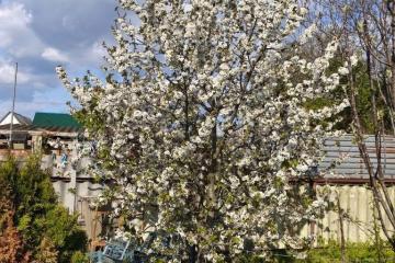 Фото №3: Дом 67 м² - Васюринская, счт Строитель, ул. Яблоневая, 40