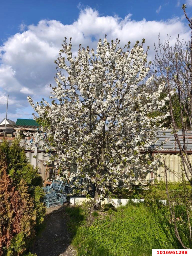 Фото №3: Дом 67 м² + 5 сот. - Васюринская, счт Строитель, ул. Яблоневая, 40