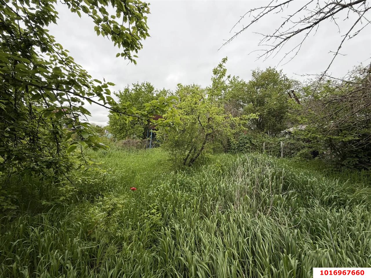 Фото №4: Дом 76 м² + 4.6 сот. - Елизаветинская, Прикубанский внутригородской округ, ст Зелёный Огонёк, ул. Грушёвая