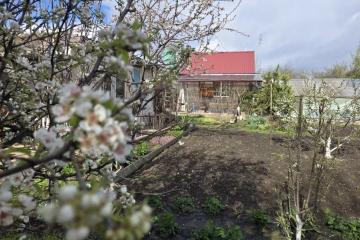 Фото №1: Дача 25 м² - Елизаветинская, ст Кубань-1, ул. Вишнёвая