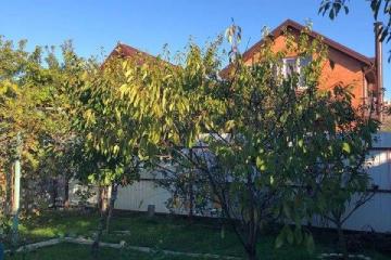 Фото №4: Дом 115 м² - Краснодар, ст Лесник, ул. Сиреневая, 233/1