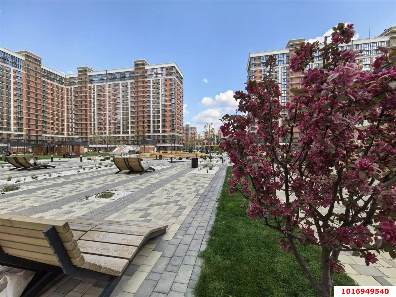 Фото №9: Студия 30 м² - Краснодар, Прикубанский внутригородской округ, мкр. жилой комплекс Самолёт-6, ул. Ивана Беличенко, 86к2