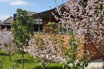 Фото №1: Дом 80 м² - Днепровская, ул. Советская, 154