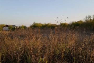 Фото №1: Земельный участок под ИЖС - Козет, ул. Советская, 26