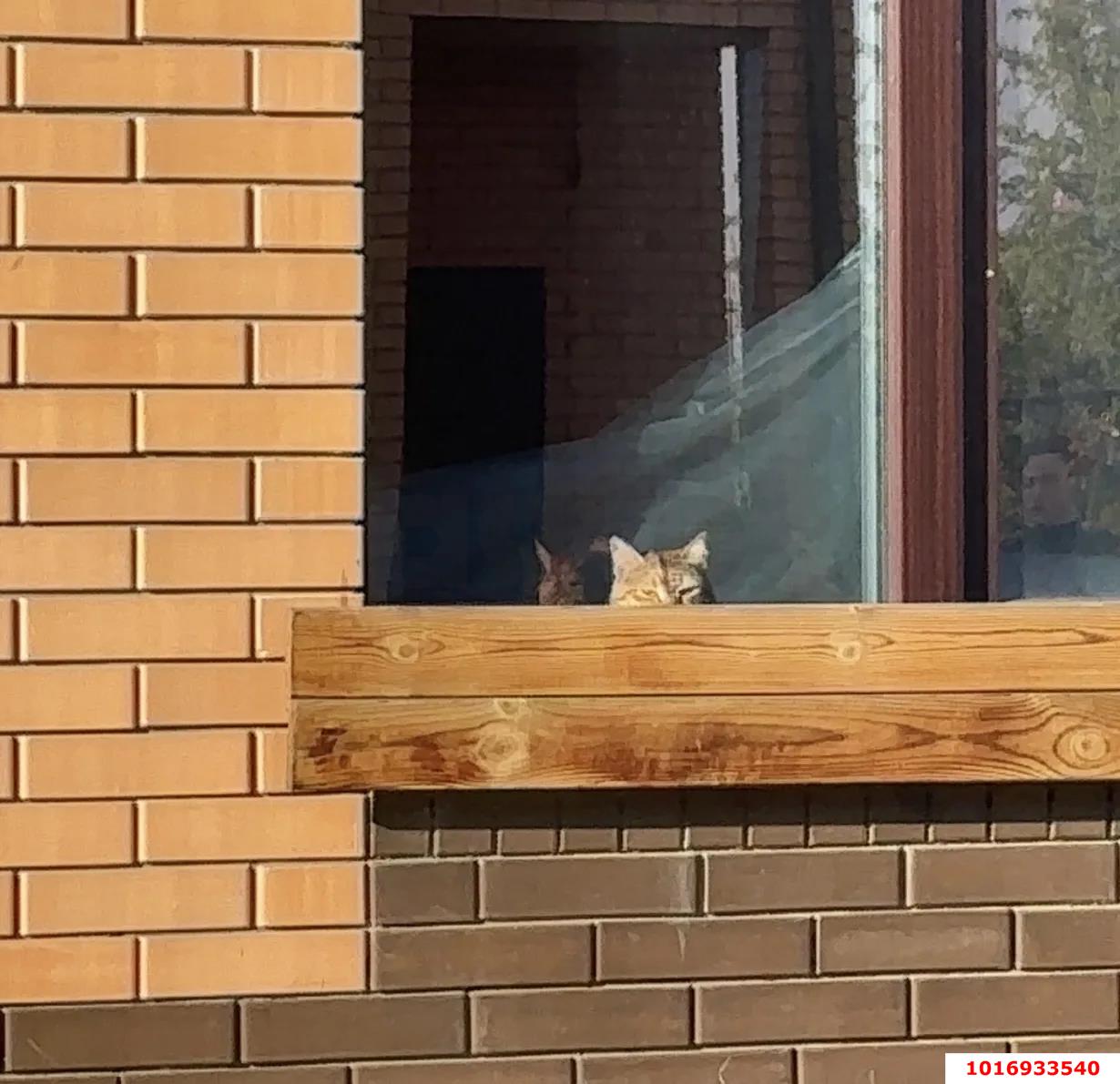 Фото №13: Дом 112 м² + 2.44 сот. - Краснодар, Карасунский внутригородской округ, мкр. Гидростроителей, ул. Парусная, 24/1к1