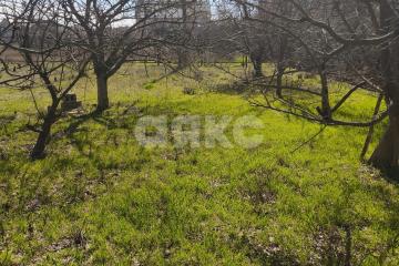 Фото №5: Дом 88 м² - Бабах-Тарама, ул. 2-я Новая