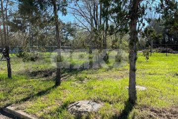 Фото №4: Коммерческая земля - Анапа, пр-кт Пионерский