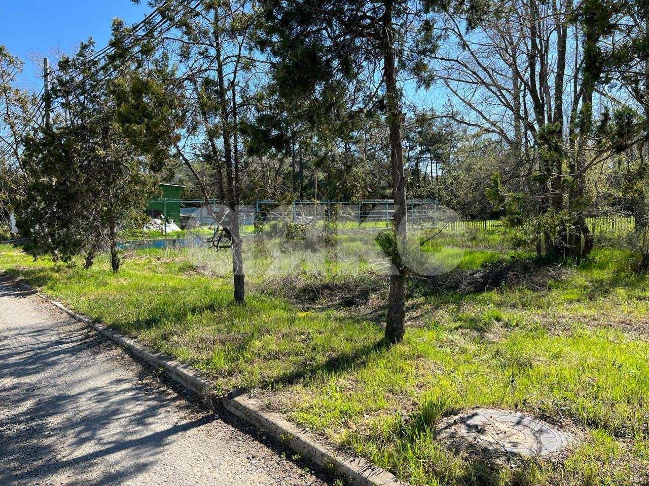 Фото №3: Коммерческая земля 6.26 сот. - Анапа, пр-кт Пионерский