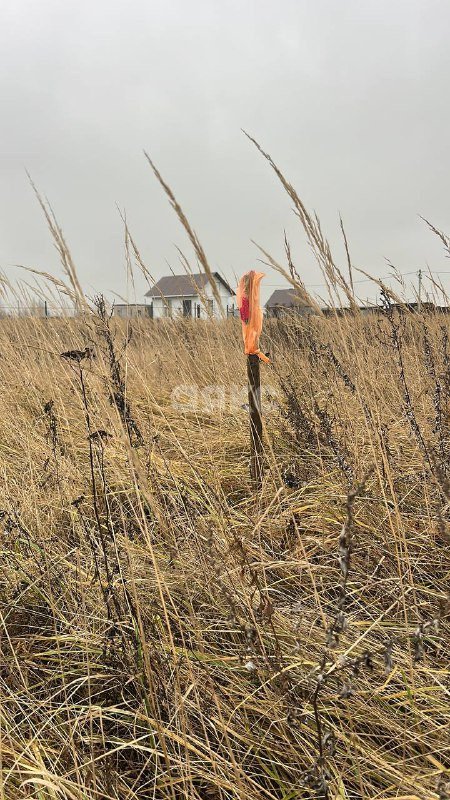 Фото №10: Участок садоводство 7.7 сот. - КП Городище, мкр. территория Городище-1