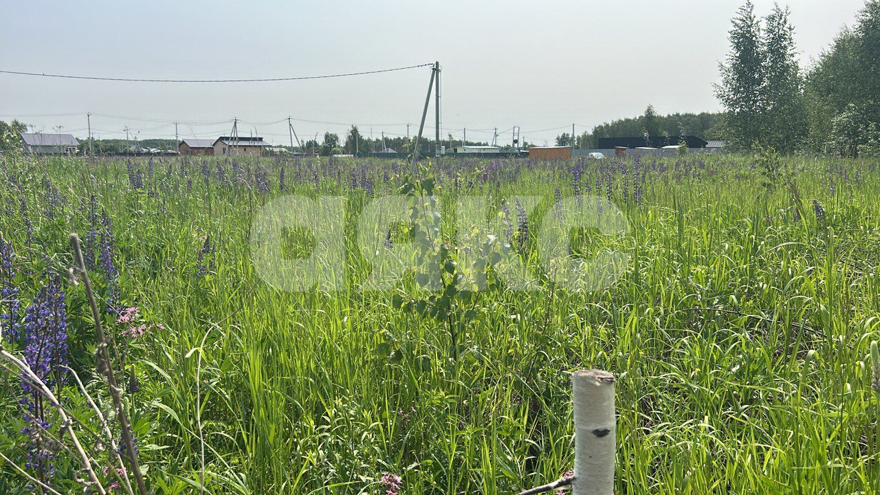 Фото №4: Участок садоводство 8 сот. - Московская область городской округ Воскресенск