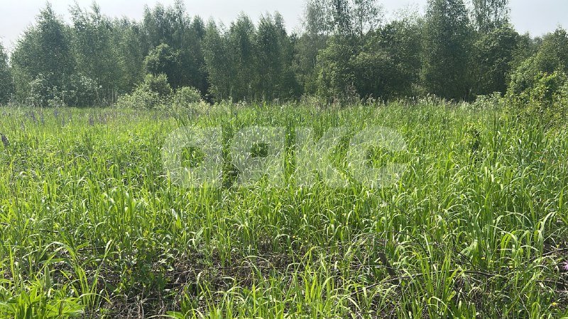 Фото №6: Участок садоводство 8 сот. - Московская область городской округ Воскресенск