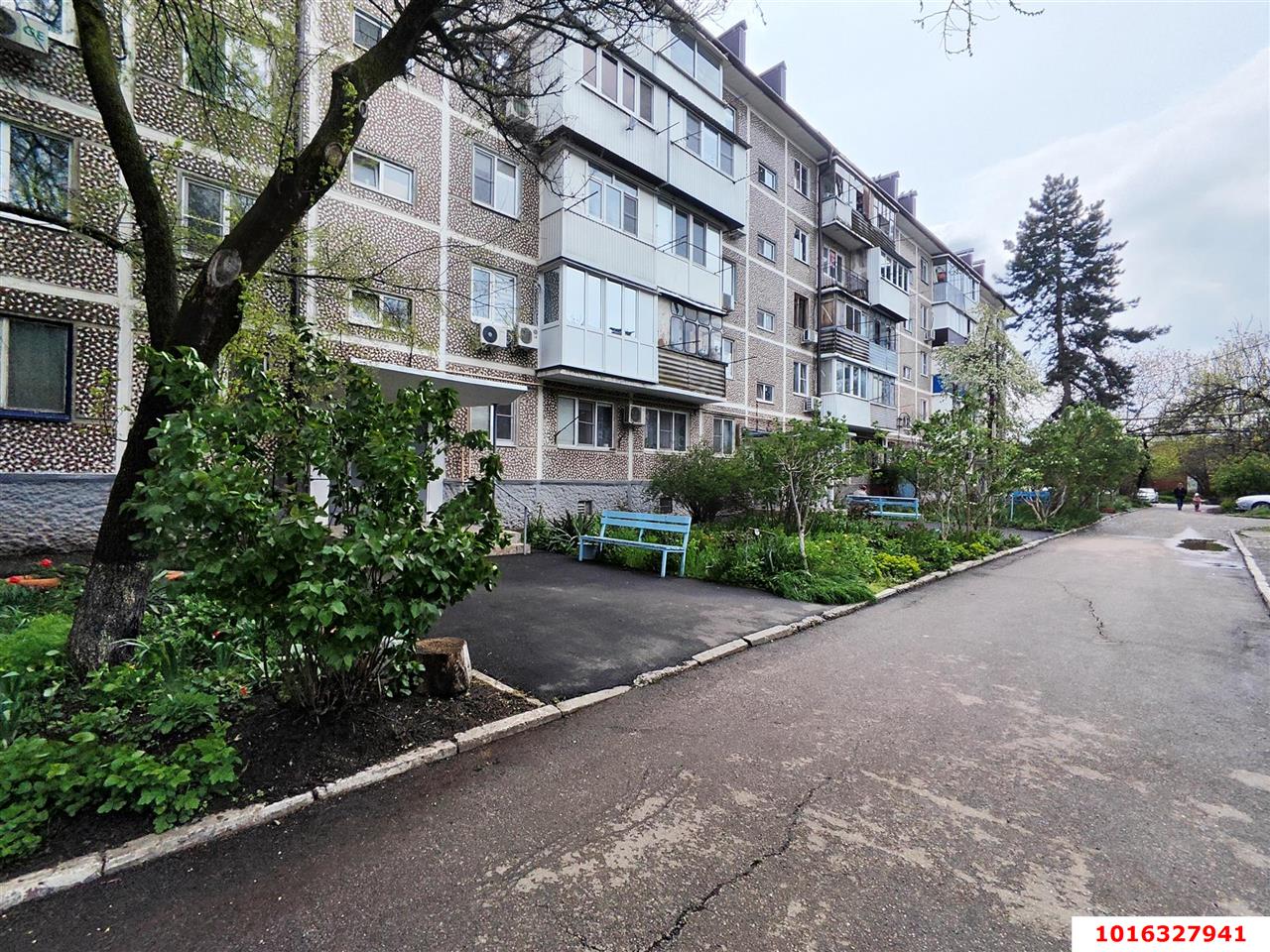 Фото №2: 1-комнатная квартира 31 м² - Берёзовый, Прикубанский внутригородской округ, п. Прогресс, ул. Археолога Анфимова, 26