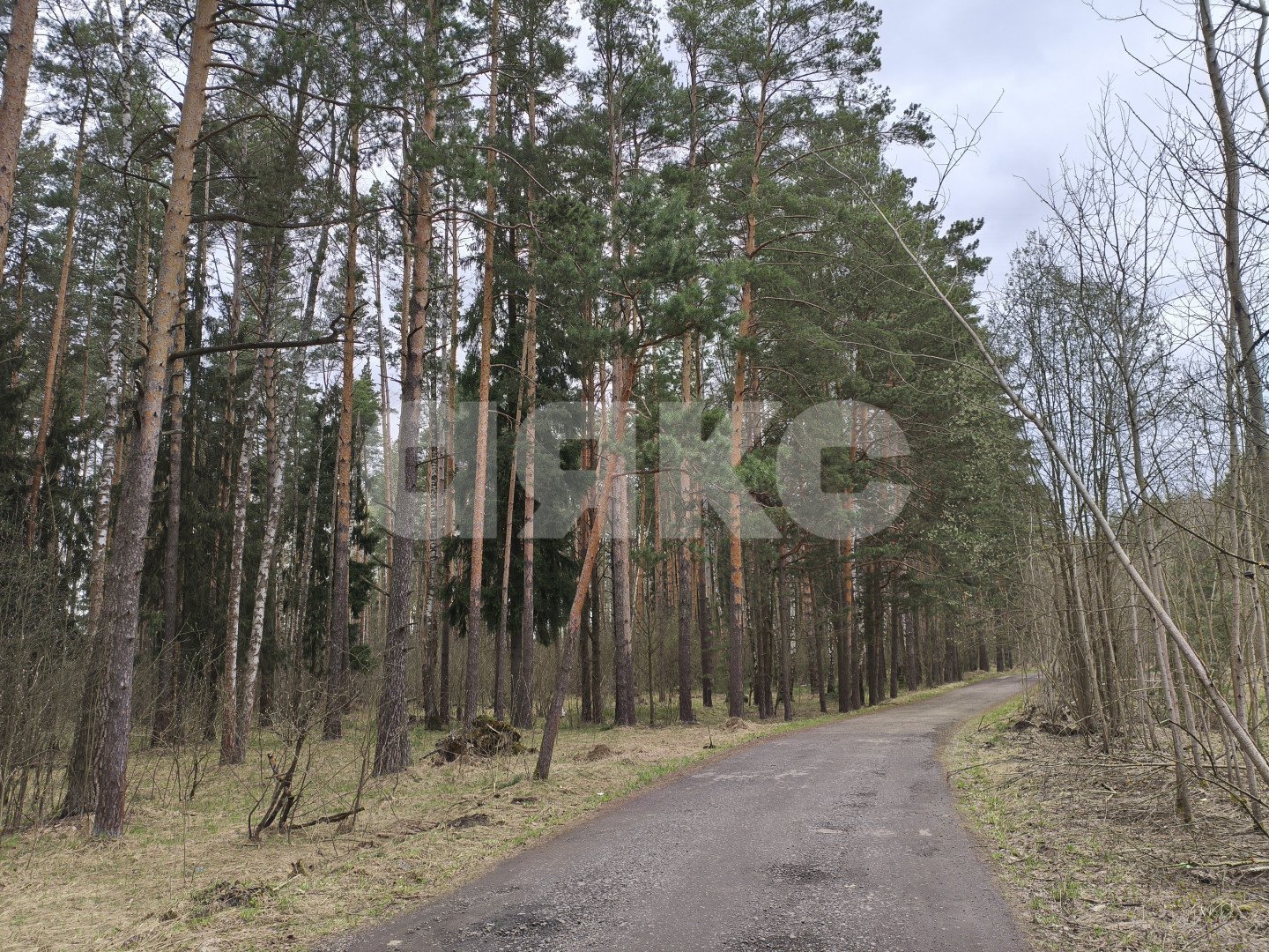 Фото №13: Дача 21 м² + 6 сот. - СНТ Дружба-2, 187