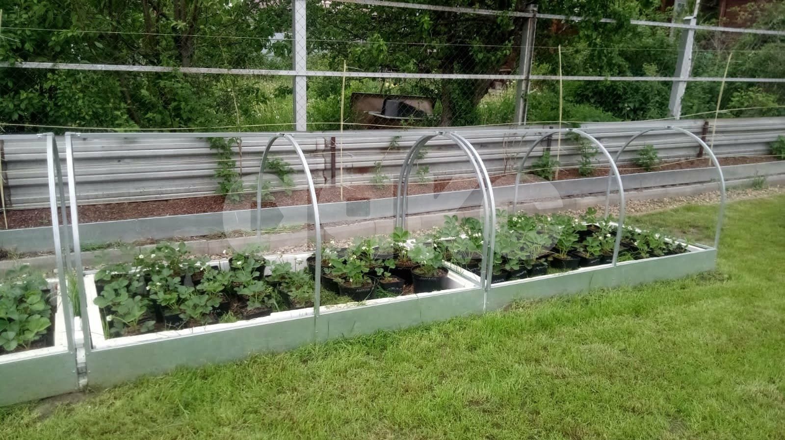 Фото №11: Дача 21 м² + 6 сот. - СНТ Дружба-2, 187