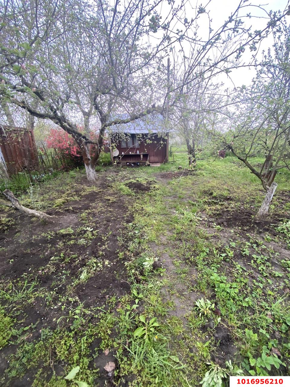 Фото №5: Личное подсобное хозяйство - Васюринская, ул. Северная, 25