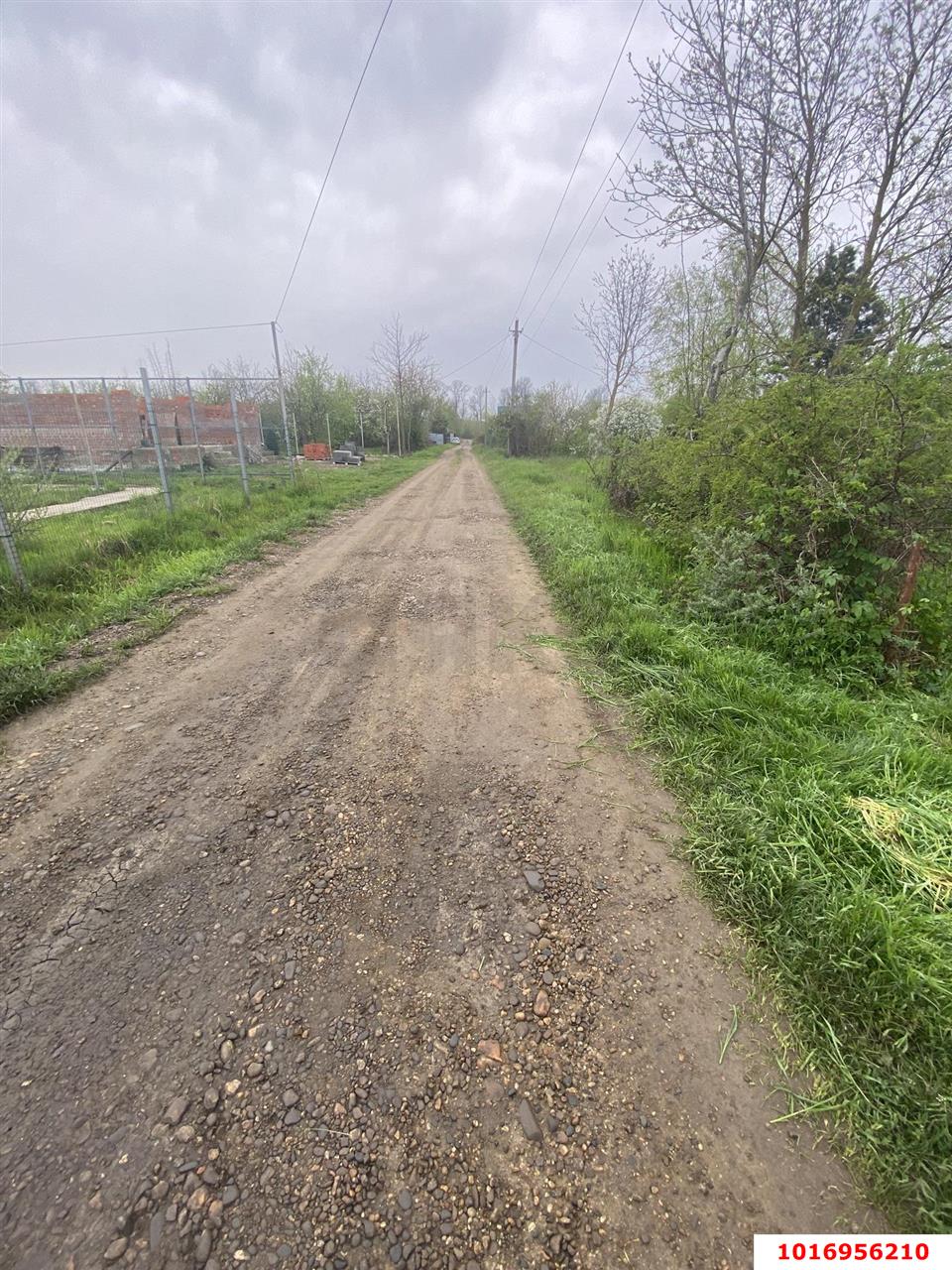 Фото №4: Личное подсобное хозяйство - Васюринская, ул. Северная, 25