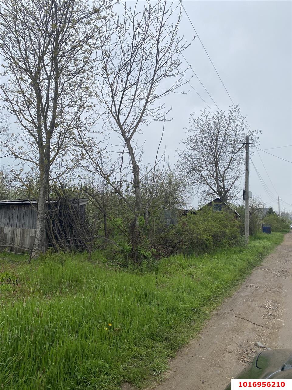 Фото №3: Личное подсобное хозяйство - Васюринская, ул. Северная, 25