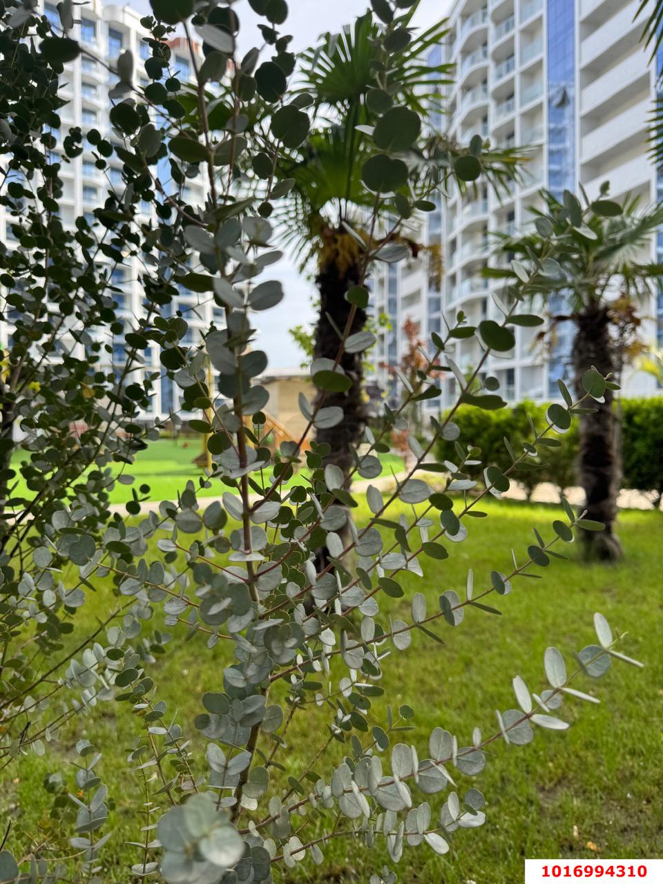 Фото №10: Студия 26 м² - Ольгинка, территория ГСК Сигнал, 3-й, территория ГСК Сигнал, мкр. 3-й, 21