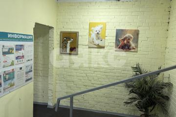 Фото №2: 3-комнатная квартира 102 м² - Реутов, мкр. 5-й, ул. Ашхабадская, 25