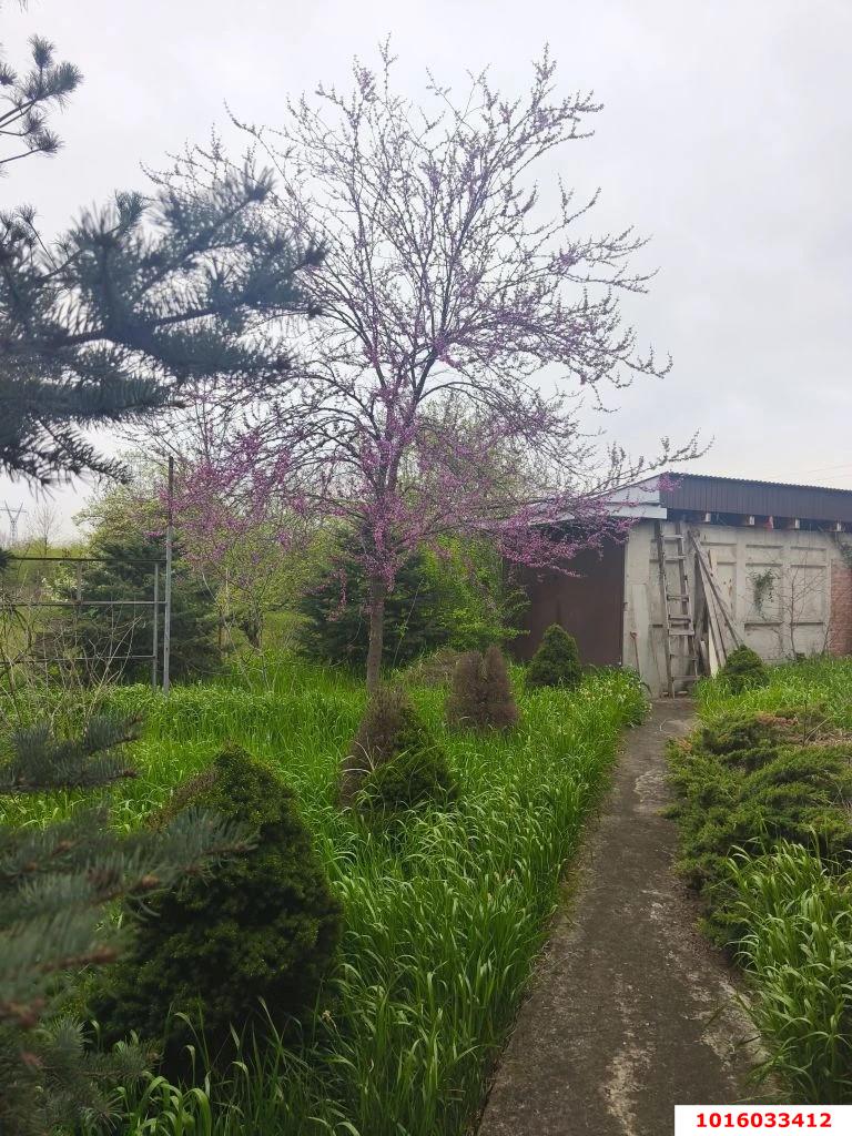 Фото №18: Дом 110 м² + 8 сот. - Елизаветинская, Прикубанский внутригородской округ, ст Автомобилист-2, ул. 3-я Линия, 29