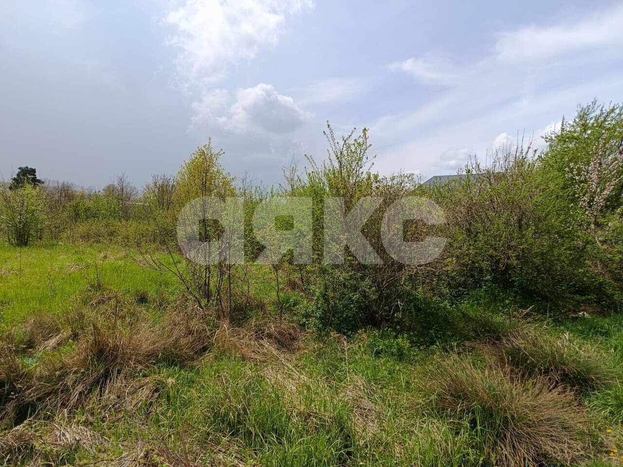 Фото №3: Личное подсобное хозяйство 12.2 сот. - Кутаисская