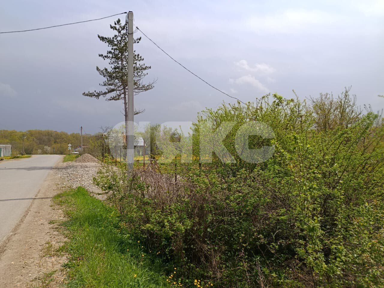 Фото №5: Личное подсобное хозяйство 12.2 сот. - Кутаисская