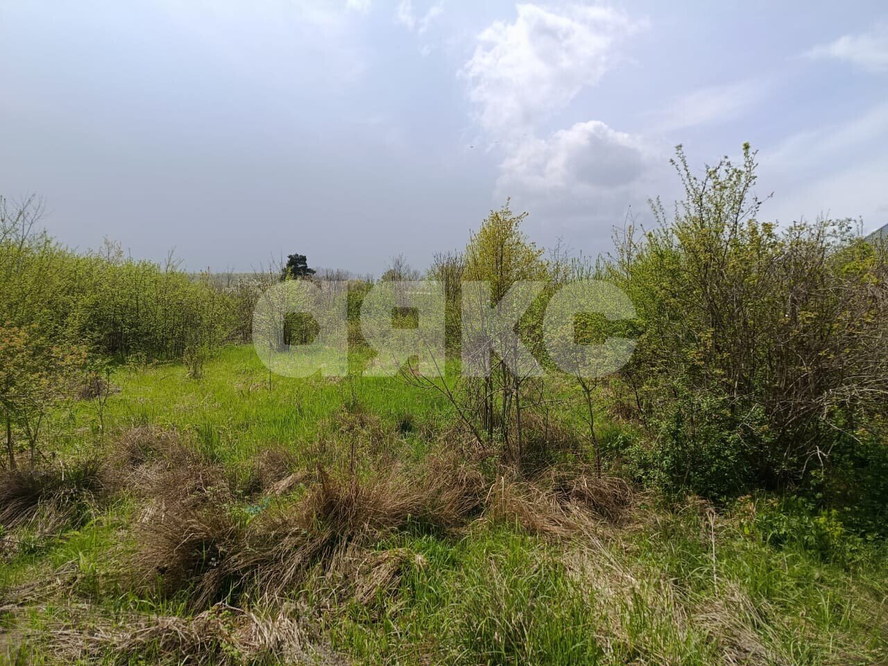 Фото №2: Личное подсобное хозяйство 12.2 сот. - Кутаисская