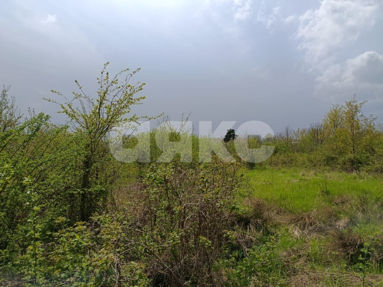 Фото №4: Личное подсобное хозяйство 12.2 сот. - Кутаисская