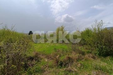 Фото №1: Личное подсобное хозяйство - Кутаисская, 