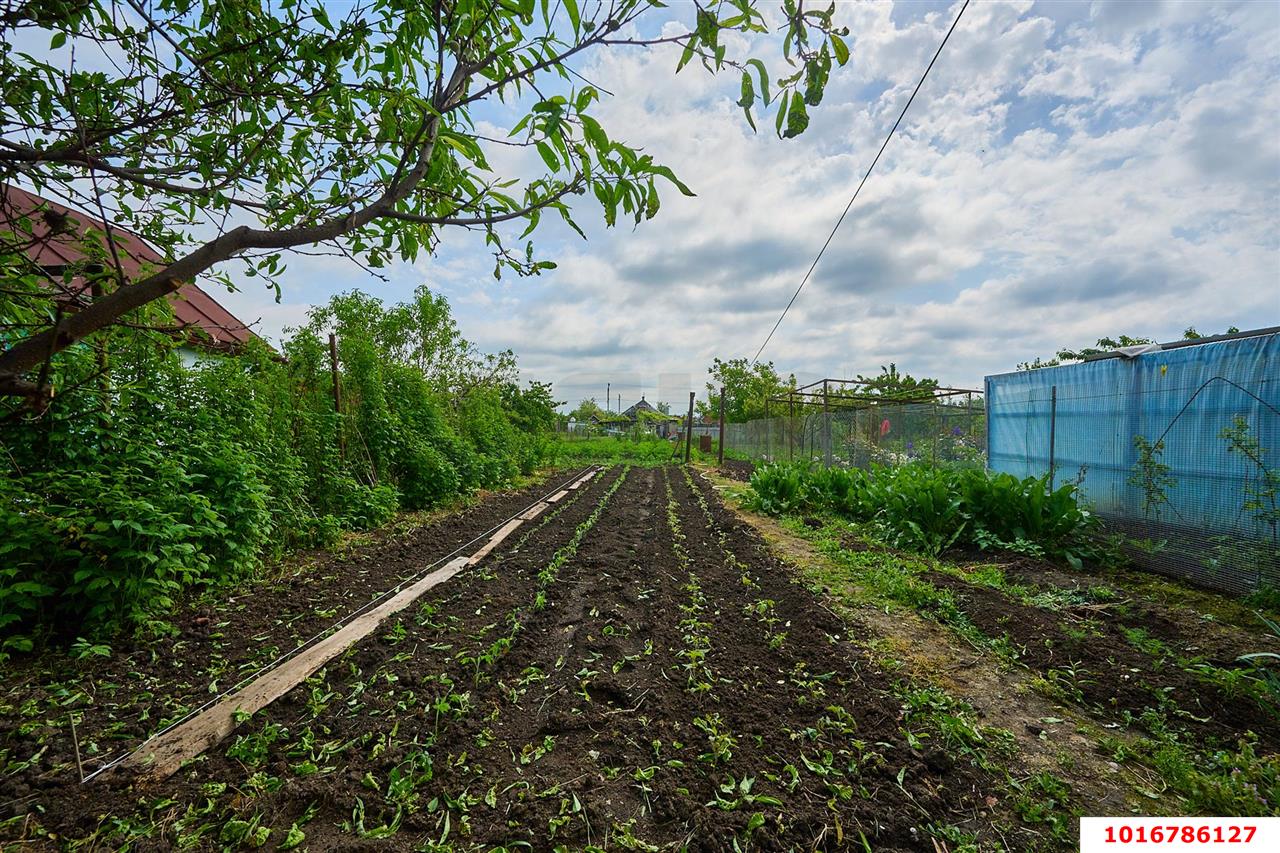 Фото №8: Дом 38 м² + 8 сот. - Агроном, ул. Садовая, 12