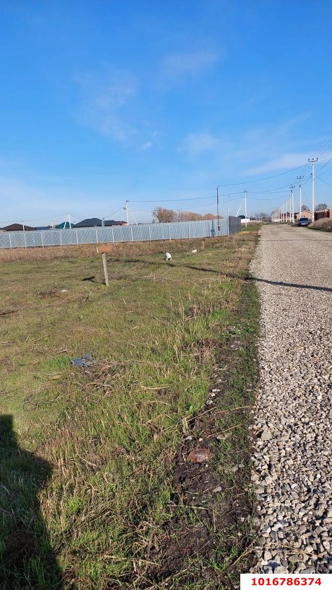 Фото №4: Земельный участок под ИЖС - Агроном, ул. им. М.П. Братчиковой, 47