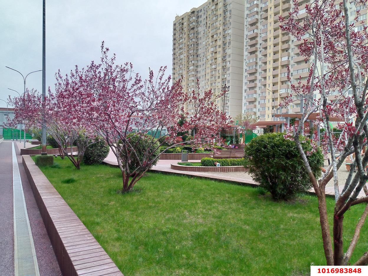 Фото №15: Студия 22 м² - Краснодар, Камвольно-суконный Комбинат, Карасунский внутригородской округ, мкр. жилой комплекс Гарантия, ул. Дежнёва, 29/3