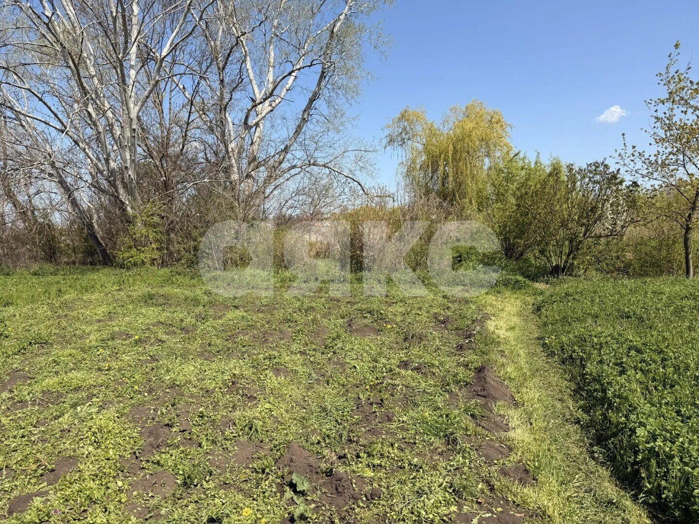 Фото №37: Дом 67 м² + 17.1 сот. - Журавская, ул. Садовая, 106