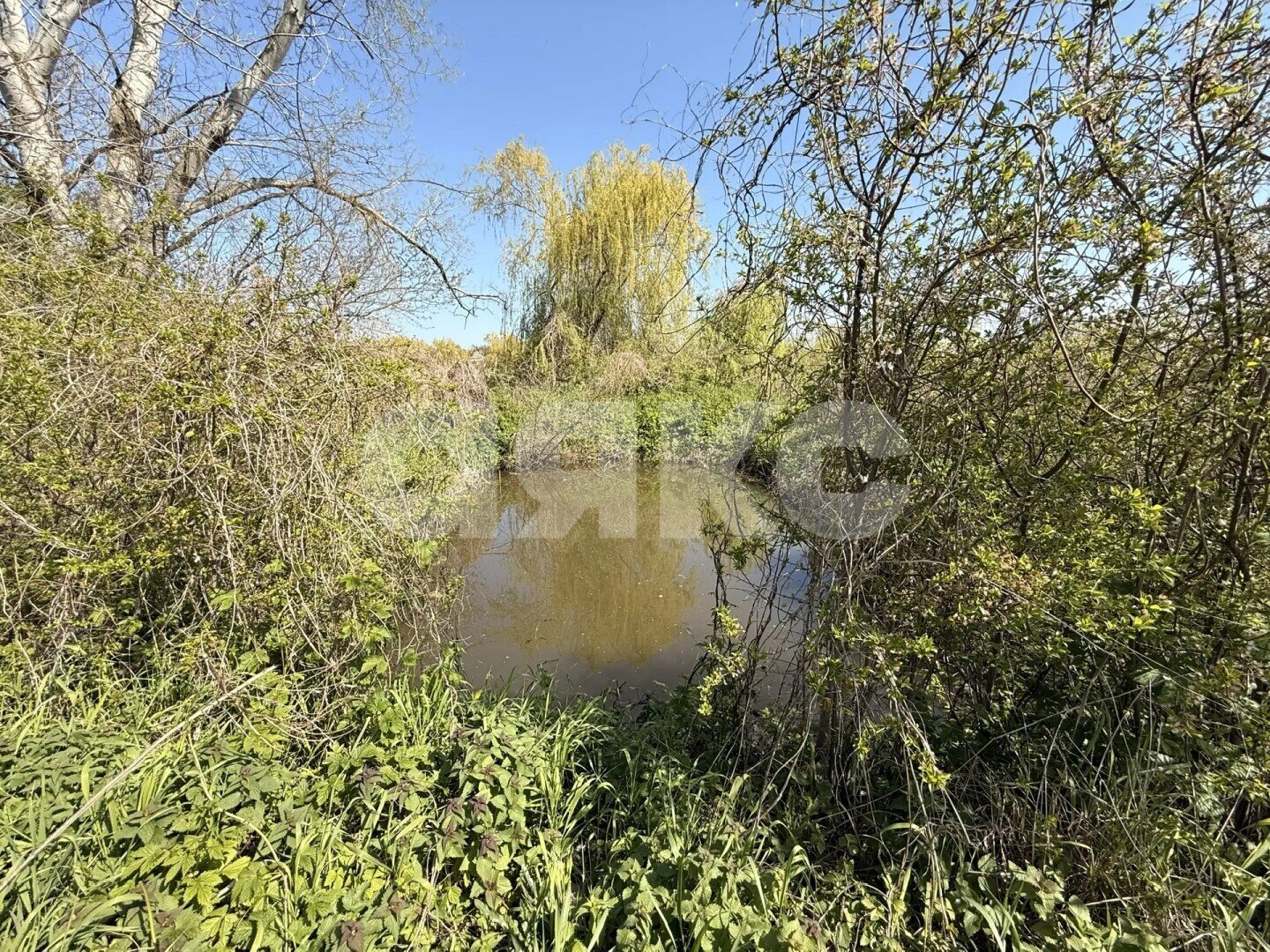 Фото №40: Дом 67 м² + 17.1 сот. - Журавская, ул. Садовая, 106