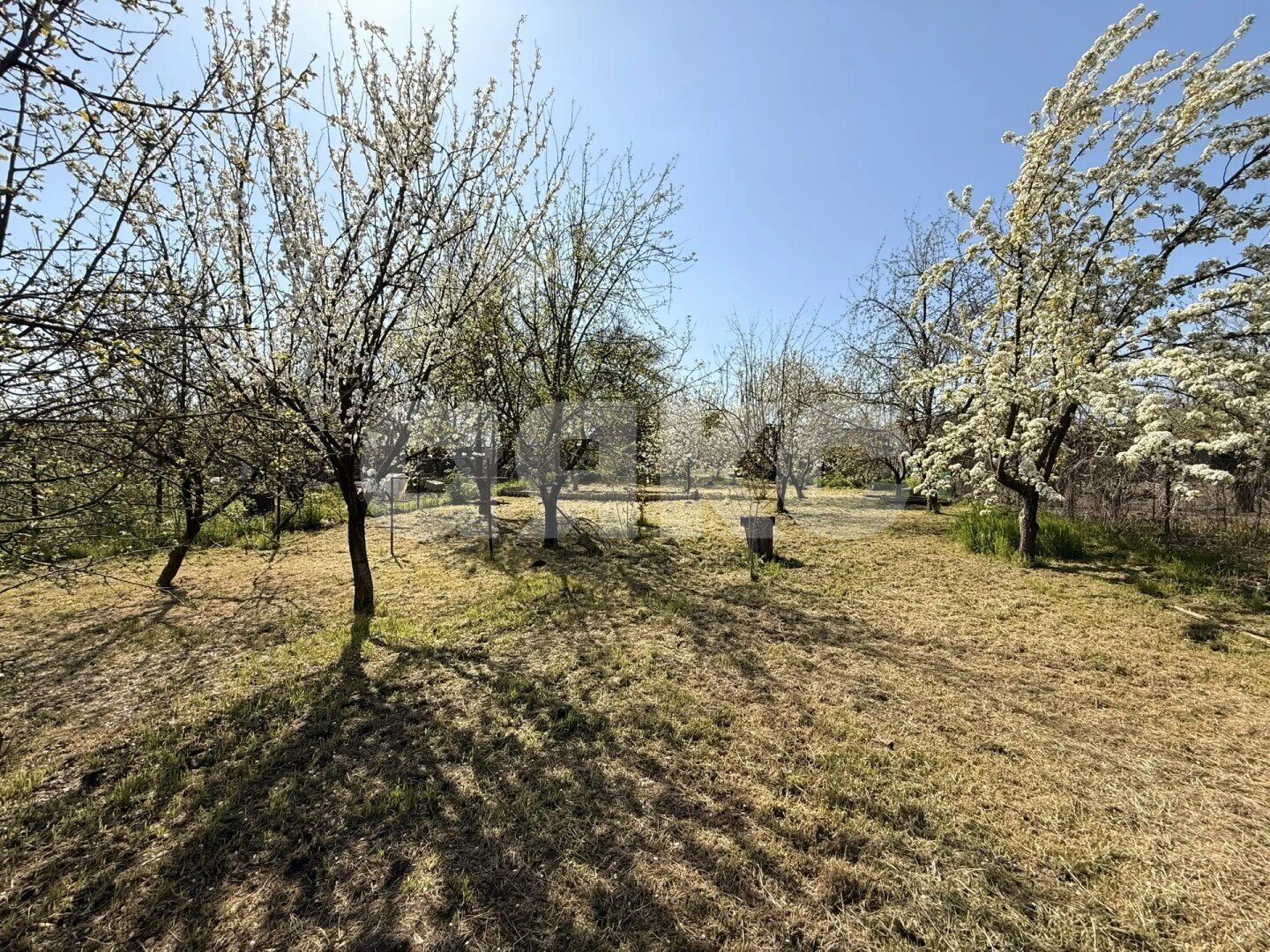 Фото №35: Дом 67 м² + 17.1 сот. - Журавская, ул. Садовая, 106