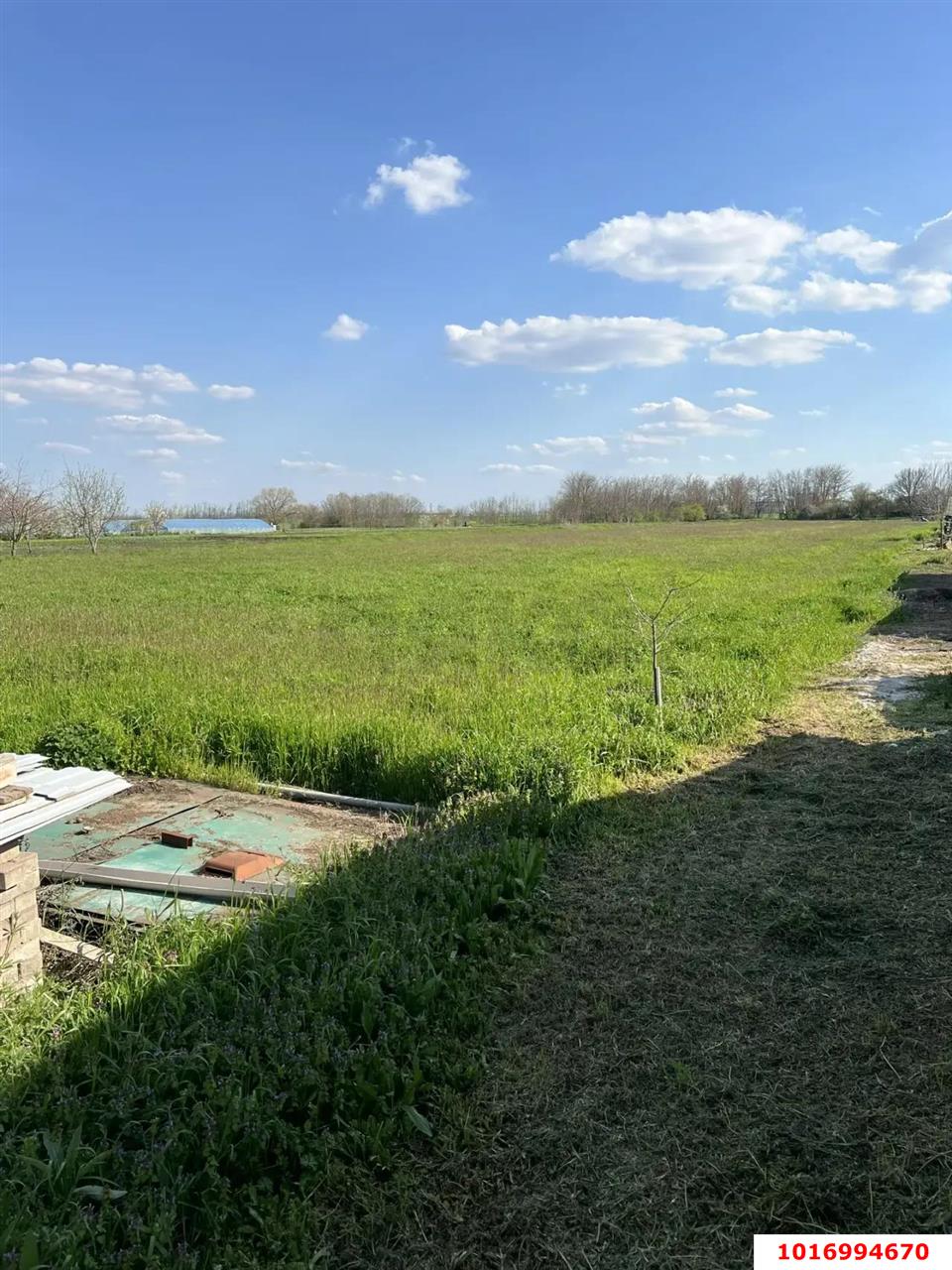 Фото №10: Дом 33 м² + 50 сот. - Пролетарский, ул. Мира, 5