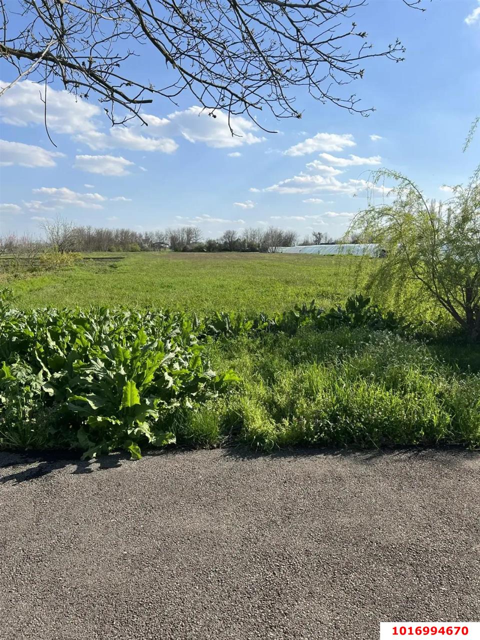 Фото №12: Дом 33 м² + 50 сот. - Пролетарский, ул. Мира, 5