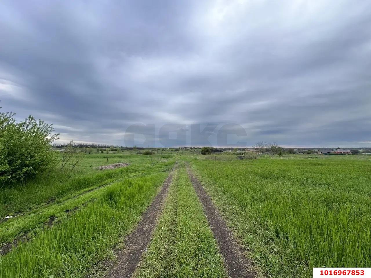 Фото №9: Земельный участок под ИЖС - Березанская, пер. Восточный, 35
