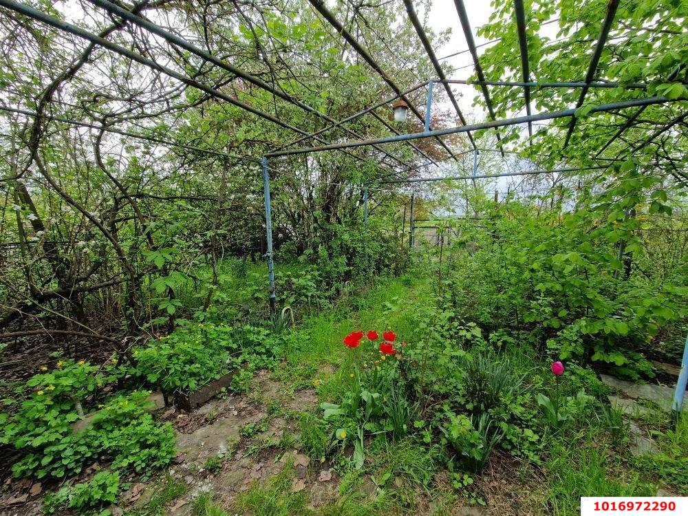 Фото №3: Дом 33 м² + 6.2 сот. - СНТ Строитель, мкр. Прикубанский внутригородской округ, ул. Цветочная, 7