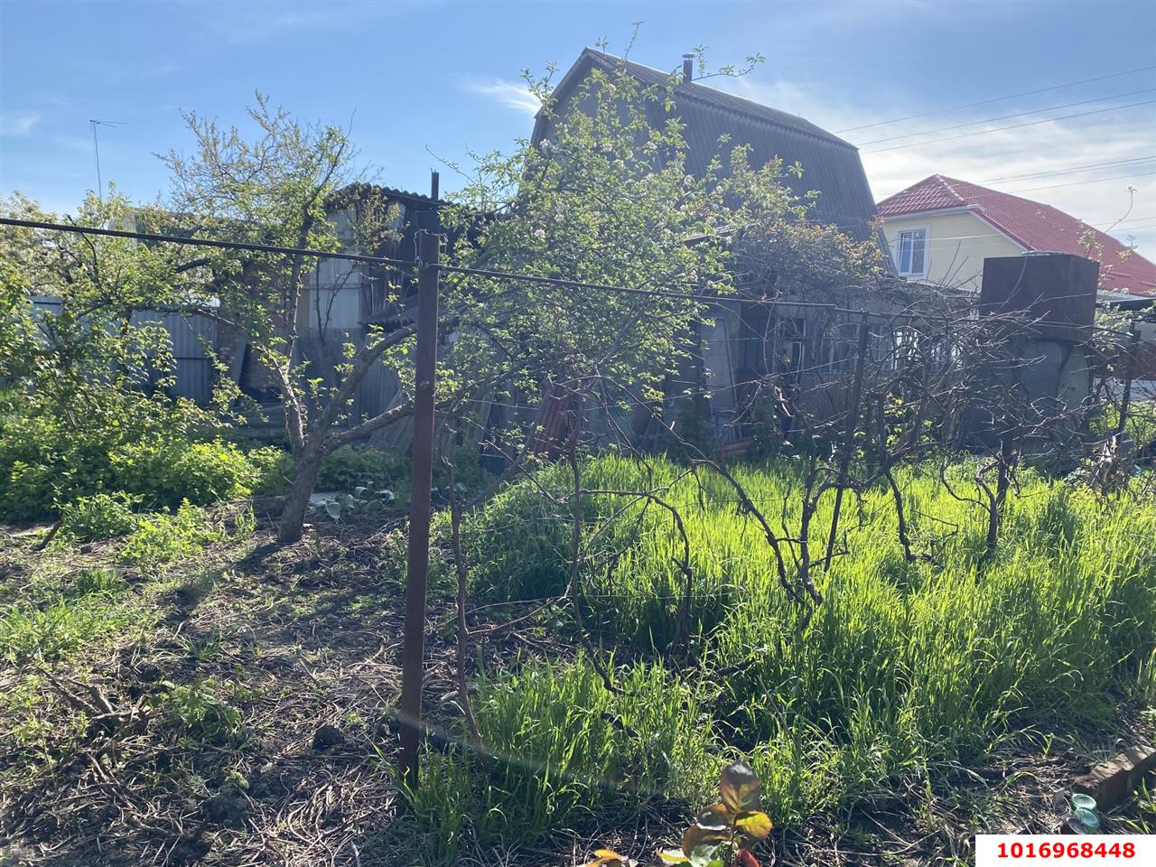 Фото №8: Дача 21 м² + 6 сот. - Елизаветинская, Прикубанский внутригородской округ, ст Башмачок, ул. Яблоневая, 123