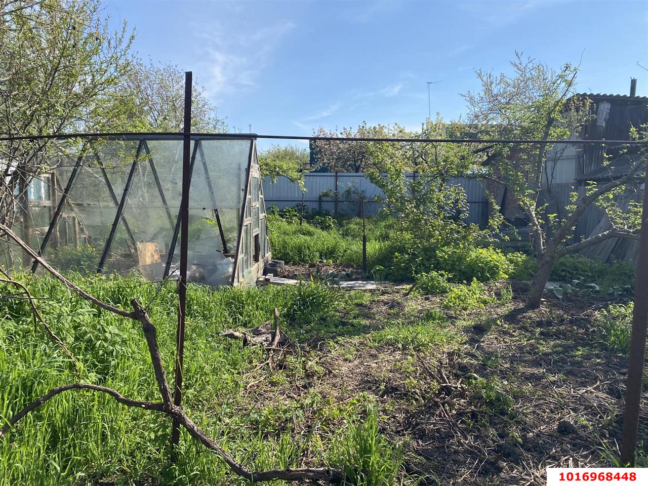 Фото №5: Дача 21 м² + 6 сот. - Елизаветинская, Прикубанский внутригородской округ, ст Башмачок, ул. Яблоневая, 123