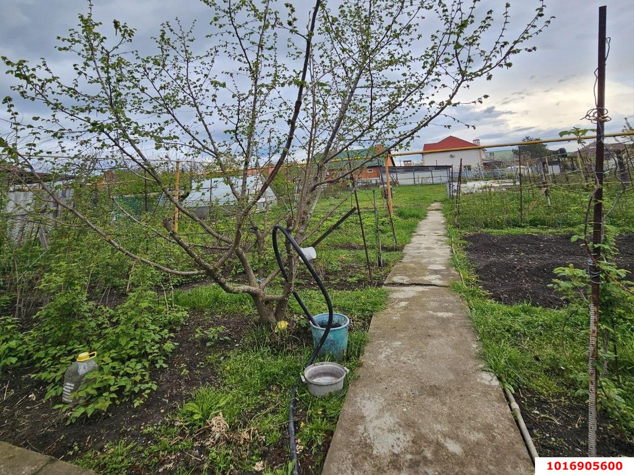 Фото №8: Дом 69 м² + 8 сот. - Белореченск, ул. Роз